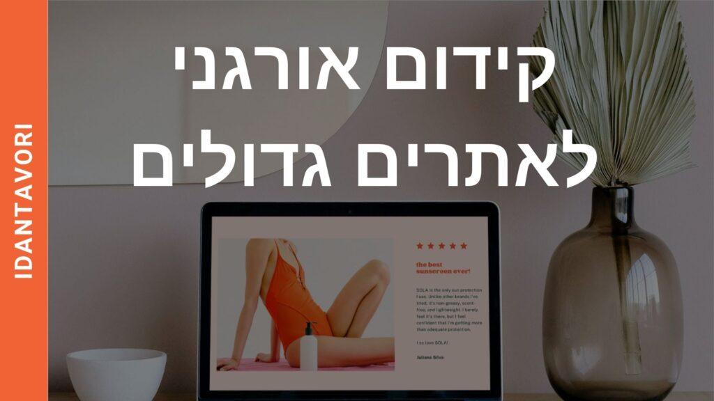קידום אתרים גדולים אורגנית