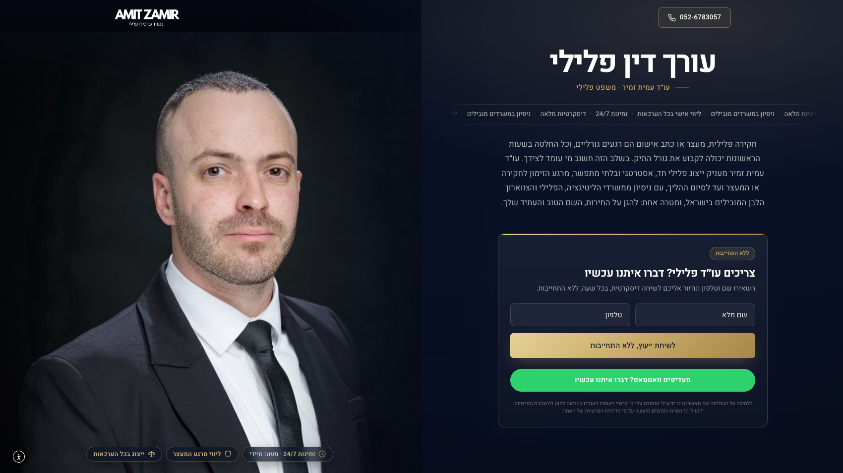 עמית זמיר · משפט פלילי